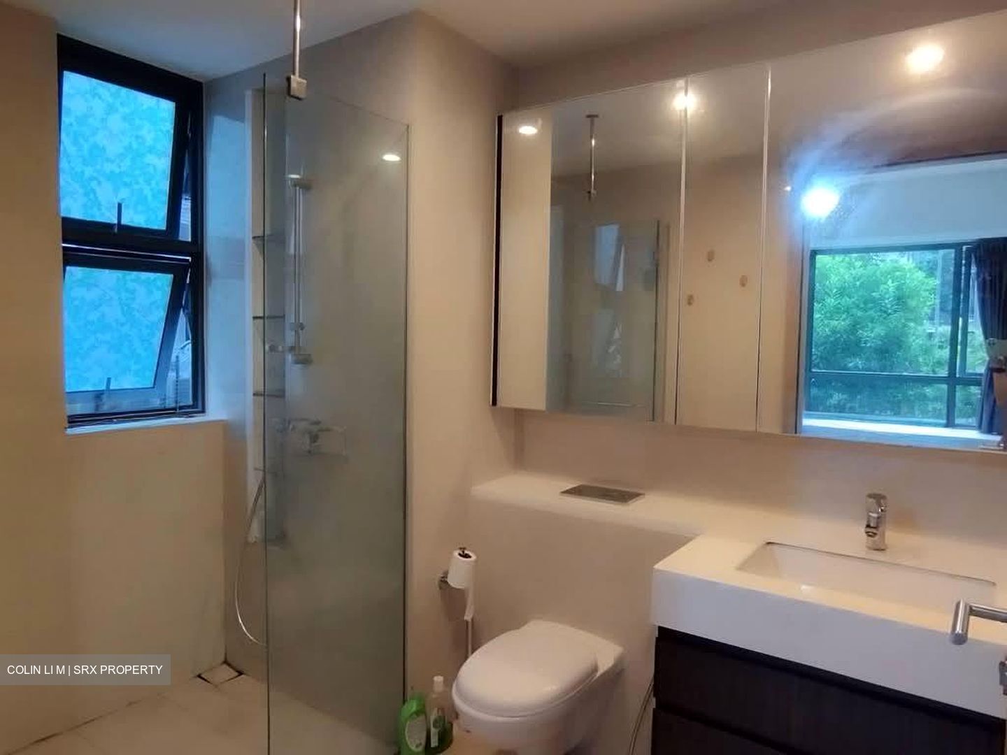 The Palette (D18), Condominium #583903741